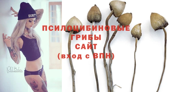 бошки Михайловск